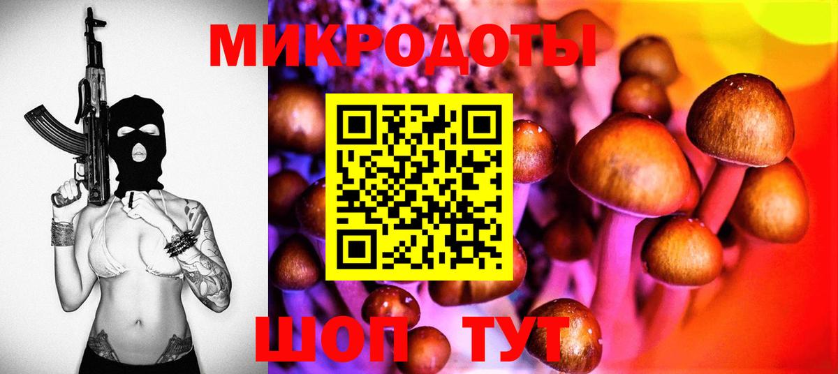 Псилоцибиновые грибы Psilocybine cubensis Кызыл